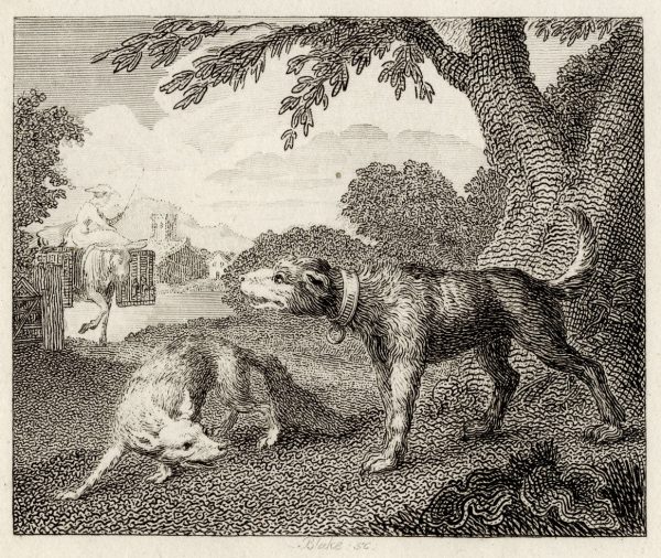 The Dog and the Fox For Sale