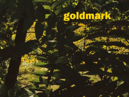 Goldmark 29 Online Sale