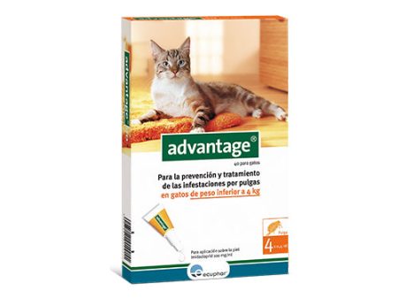 ECUPHAR ADVANTAGE Pipetas Antiparasitarias para Gatos Online Hot Sale