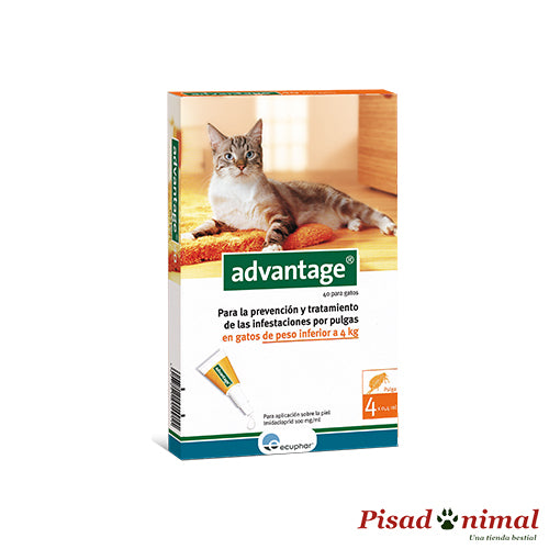 ECUPHAR ADVANTAGE Pipetas Antiparasitarias para Gatos Online Hot Sale