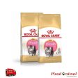 Pienso ROYAL CANIN KITTEN PERSIAN para Gatitos Persas For Cheap