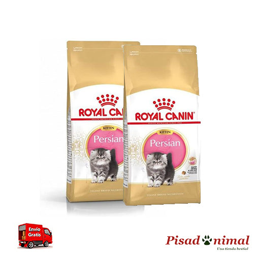 Pienso ROYAL CANIN KITTEN PERSIAN para Gatitos Persas For Cheap