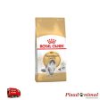 Pienso ROYAL CANIN NORWEGIAN FOREST CAT para Gatos Bosque de Noruega Hot on Sale