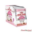 Salsa ROYAL CANIN KITTEN 85g para Gatitos (4-12 Meses) Hot on Sale