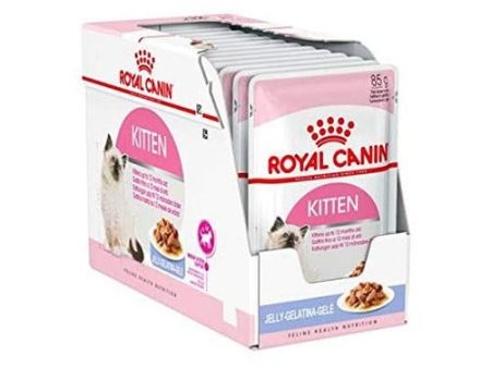 ROYAL CANIN KITTEN Gelatina para Gatitos 12x85gr Sale