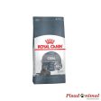 Pienso ROYAL CANIN ORAL CARE para Reducción de Sarro en Gatos For Discount