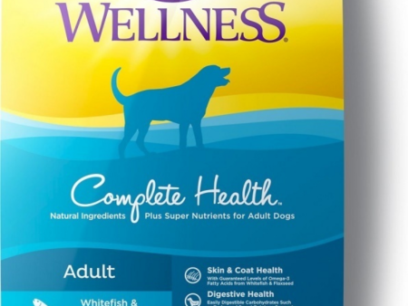 Wellness Complete Health Natural Adult Whitefish and Sweet Potato Recipe Dry Dog Food For Sale