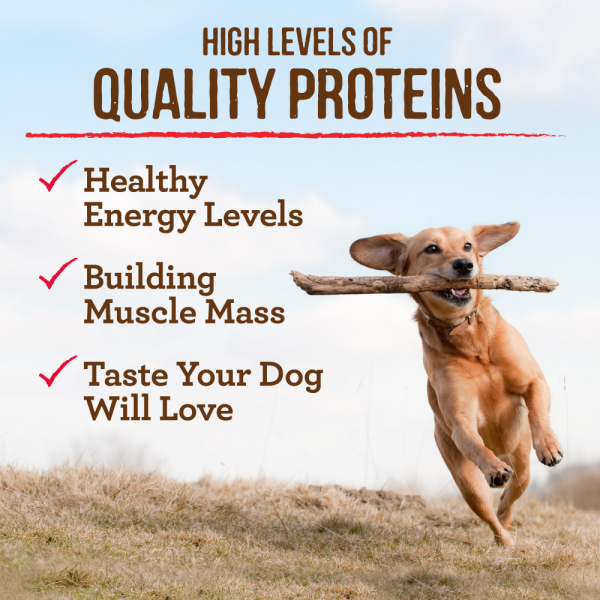 Merrick Premium Grain Free Dry Adult Dog Food Wholesome And Natural Kibble Real Texas Beef And Sweet Potato on Sale