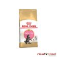 Pienso ROYAL CANIN KITTEN MAINE COON para Gatitos Fashion