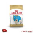 ROYAL CANIN GOLDEN RETRIEVER PUPPY Pienso para Cachorros (hasta 15 Meses de Edad) on Sale