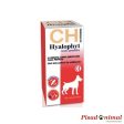 HYALOPHYT MSM Condroprotector Salud Articular Perros Hot on Sale