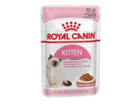 Salsa ROYAL CANIN KITTEN 85g para Gatitos (4-12 Meses) Hot on Sale