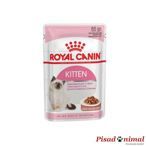 Salsa ROYAL CANIN KITTEN 85g para Gatitos (4-12 Meses) Hot on Sale