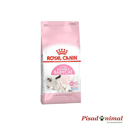 Pienso ROYAL CANIN MOTHER&BABYCAT para Gatitos y Madres Lactantes Hot on Sale