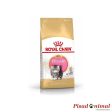 Pienso ROYAL CANIN KITTEN PERSIAN para Gatitos Persas For Cheap