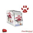 ROYAL CANIN INSTINCTIVE Gelatina para Gatos Adultos 85gr For Cheap