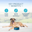 Blue Buffalo Life Protection Formula Senior Chicken & Brown Rice Recipe Dry Dog Food Fashion