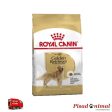 ROYAL CANIN GOLDEN RETRIEVER ADULT Pienso para Perros Adultos de Raza Golden Retriever (Mayor de 15 Meses) For Sale