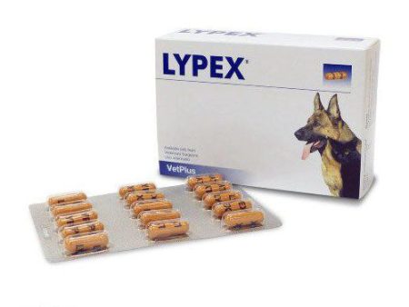 VETPLUS Lypex 60 Cápsulas para Perros y Gatos Hot on Sale