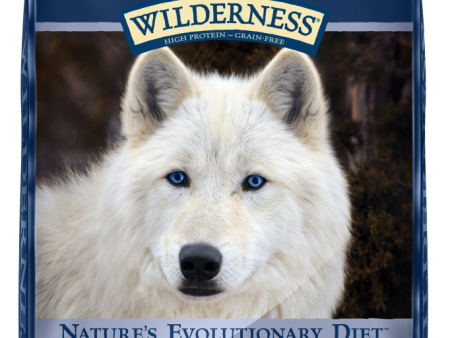 Blue Buffalo Wilderness Senior Grain-Free Chicken Recipe Dry Dog Food on Sale