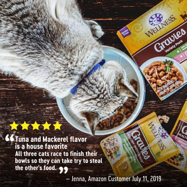 Wellness Healthy Indulgence Natural Grain Free Gravies with Chicken and Turkey in Gravy Cat Food Pouch Fashion