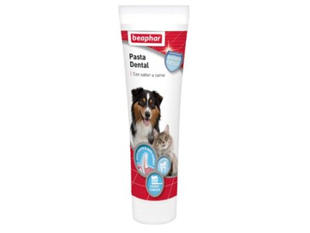 BEAPHAR Pasta de Dientes para Perros For Discount