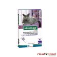 ECUPHAR ADVANTAGE Pipetas Antiparasitarias para Gatos Online Hot Sale