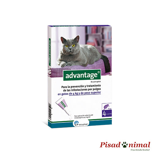 ECUPHAR ADVANTAGE Pipetas Antiparasitarias para Gatos Online Hot Sale