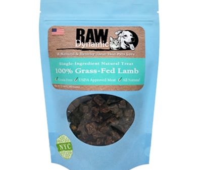 Raw Dynamic D 3.6oz Lamb treats Online Sale