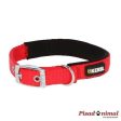 KERBL MIAMI PLUS Collar de Nylon para Perros (Varios Tamaños) Online now