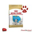 ROYAL CANIN DALMATIAN JUNIOR Pienso para Cachorros de Raza Dálmata (Mens de 15 Meses) Cheap