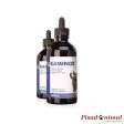 KAMINOX Suplemento Líquido para Función Renal en Gatos 60 ml For Sale