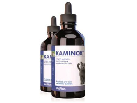 KAMINOX Suplemento Líquido para Función Renal en Gatos 60 ml For Sale