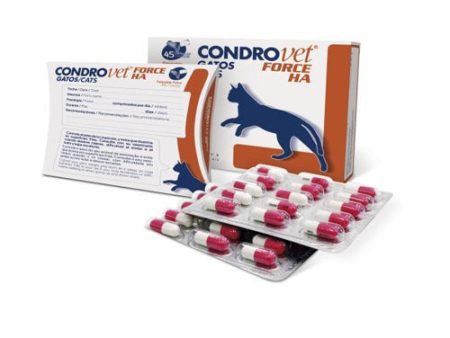 BIOIBERICA Condrovet Force Ha para Gatos For Sale