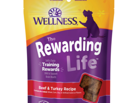 Wellness Natural Grain Free Wellbites Soft Beef and Turkey Recipe Dog Treats Sale