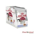 ROYAL CANIN INSTINCTIVE Gelatina para Gatos Adultos 85gr For Cheap