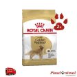 ROYAL CANIN GOLDEN RETRIEVER ADULT Pienso para Perros Adultos de Raza Golden Retriever (Mayor de 15 Meses) For Sale