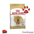 ROYAL CANIN GREAT DANE ADULT Pienso para Perros Adultos de Raza Dogo Alemán (Mayores de 24 Meses) Fashion