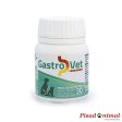 GASTROVET König Protector de Estómago para Perros Supply