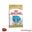 ROYAL CANIN DALMATIAN JUNIOR Pienso para Cachorros de Raza Dálmata (Mens de 15 Meses) Cheap