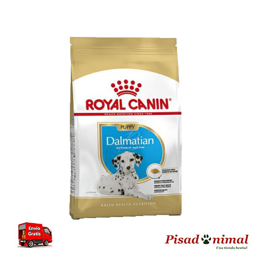 ROYAL CANIN DALMATIAN JUNIOR Pienso para Cachorros de Raza Dálmata (Mens de 15 Meses) Cheap