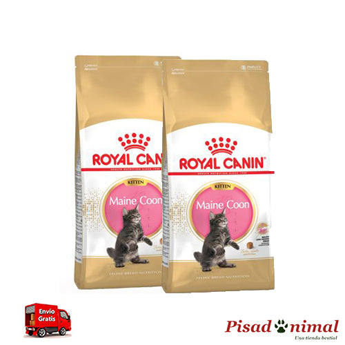 Pienso ROYAL CANIN KITTEN MAINE COON para Gatitos Fashion