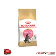 Pienso ROYAL CANIN KITTEN MAINE COON para Gatitos Fashion