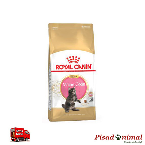 Pienso ROYAL CANIN KITTEN MAINE COON para Gatitos Fashion