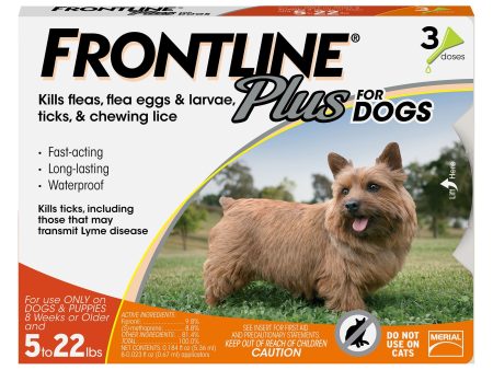 Frontline Plus for Dog 5-22lbs Online