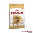 ROYAL CANIN GOLDEN RETRIEVER ADULT Pienso para Perros Adultos de Raza Golden Retriever (Mayor de 15 Meses) For Sale