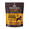 Wellness Core Puppy Training Treats Beef and Turkey 4oz on Sale