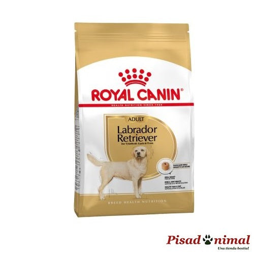 ROYAL CANIN LABRADOR RETRIEVER ADULT Pienso para Perros Adulto (Mayores de 15 Meses) Fashion