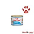 ROYAL CANIN STARTER MOUSSE MOTHER AND BABYDOG para Perros 12x195gr Online Hot Sale