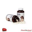 VETPLUS Cystaid Canino 120 Cápsulas para Perros on Sale